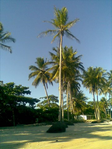 trancoso5.jpg