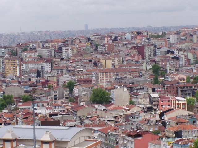 panorama6.jpg